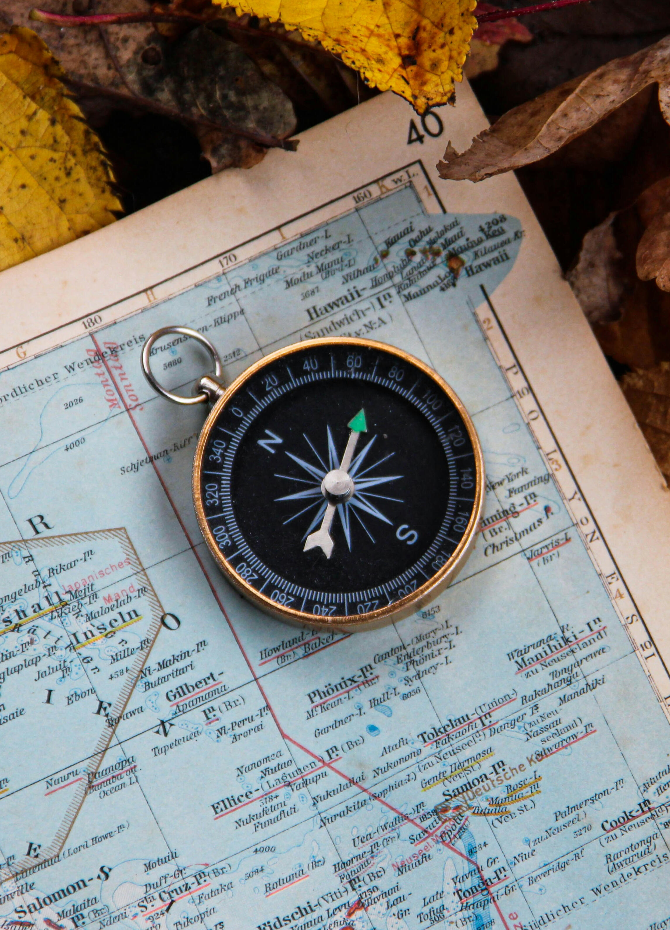 Off we go. . . Image by Denise Jans@Unsplash